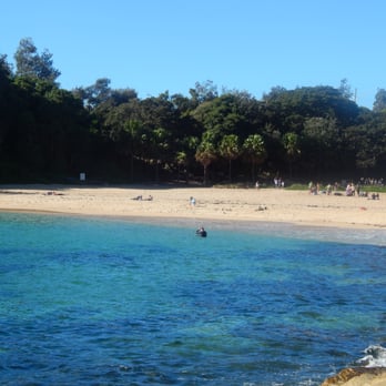 Shelly Beach - Beaches Near Me - Manly, NSW Shelly Beach - Beaches Near Me - Manly, NSW