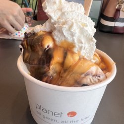 Sprinkles Ice Cream & Sandwich Shop - Cookie sundae