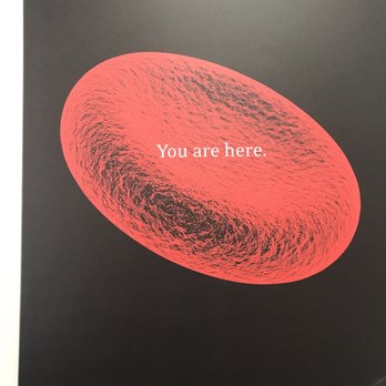 Any Lab Test Now Austin - Lots of health information to study while you wait for your B-12 injections. - Laboratory Testing Near Me - Austin, Texas