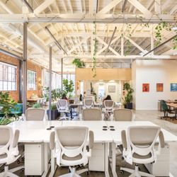 Grounded Real Estate - The beloved Grounded studio (our word for 'office') in Midtown Sacramento!