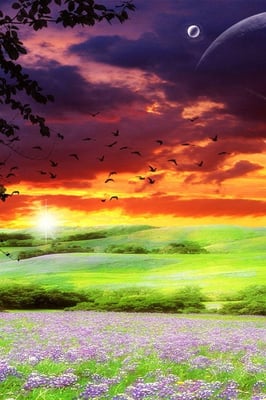 Habersham Branch YMCA - Image 3