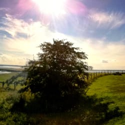 Naturreservat Hornborga See