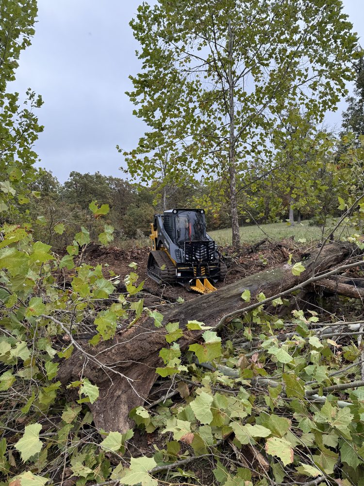 Rolling Hills Ranch - equestrian in Camdenton, MO