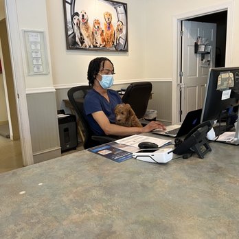 Treehouse Animal Clinic - Veterinarians Near Me - Atlanta, Georgia