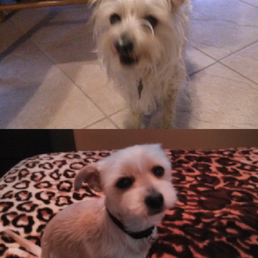 Before and after lol.
