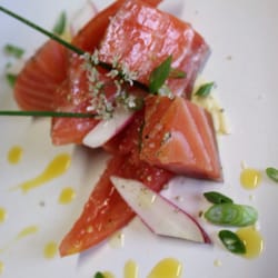 Le Son de Cuisine - Saumon Fumé minute, crème de Fenouil aux herbes du Jardin