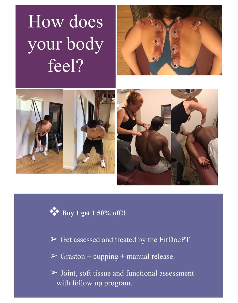 The FitDocPT Logo
