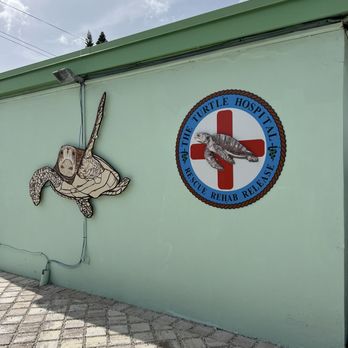 The Turtle Hospital - Veterinarians Near Me - Marathon, Florida