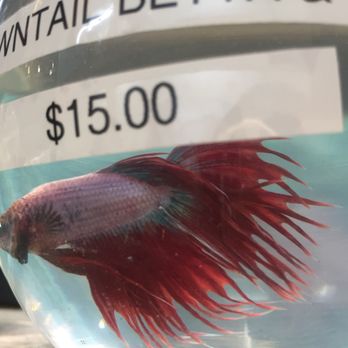 East Bay Vivarium - Reptile Shops Near Me - Berkeley, California