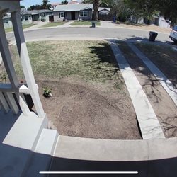 Sanchez Land Care - This is the work they did very good cleaned up everything and threw it away