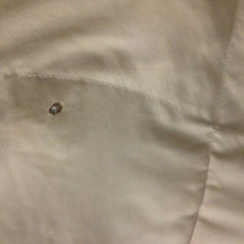 Chase Suite Hotel - One of the holes in the sheets - Hotels Near Me - Cockeysville, Maryland