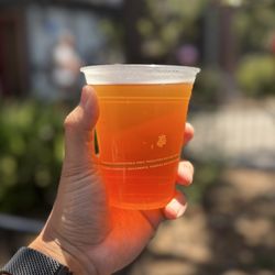 Knights' Smokehouse BBQ - Latitude 33 Brewing Blood Orange IPA Beer (7.2% ABV)