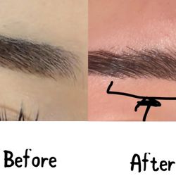 Brow Wow Studio
