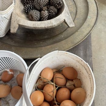 Overmountain Vineyards - Get fresh eggs! - Wineries Near Me - Tryon, North Carolina Overmountain Vineyards - Get fresh eggs! - Wineries Near Me - Tryon, North Carolina