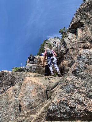 Beehive Trail by null