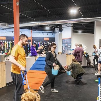 Zoom Room - Pet Training Near Me - West Allis, Wisconsin