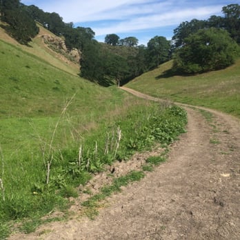 Shell Ridge Open Space - Hiking Near Me - Walnut Creek, California
