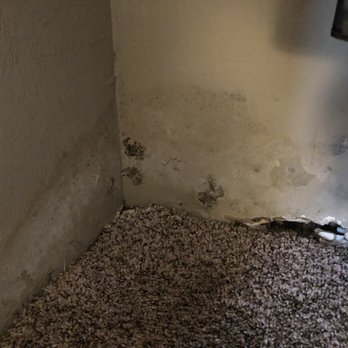 Landing at Angle Lake - Mold!!! No baseboards & holes. - Apartments Near Me - SeaTac, Washington Landing at Angle Lake - Mold!!! No baseboards & holes. - Apartments Near Me - SeaTac, Washington