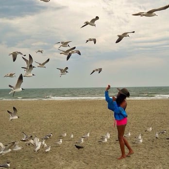 Tybee Island - Feeding the birds... - Beaches Near Me - Tybee Island, Georgia Tybee Island - Feeding the birds... - Beaches Near Me - Tybee Island, Georgia