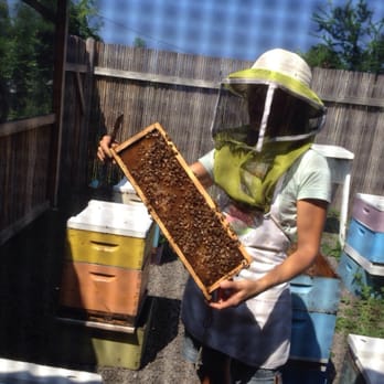 Big Island Bees - Wow! Is that a queen?!? - Honey Near Me - Captain Cook, Hawaii Big Island Bees - Wow! Is that a queen?!? - Honey Near Me - Captain Cook, Hawaii