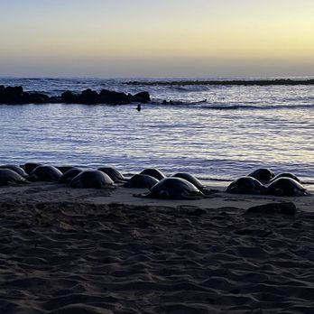 Poipu Beach - Beaches Near Me - Koloa, Hawaii Poipu Beach - Beaches Near Me - Koloa, Hawaii