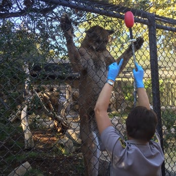 Orange County Zoo - Zoos Near Me - Orange, California