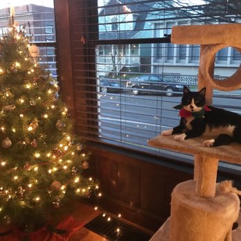 BluePearl Pet Hospice - Veterinarians Near Me