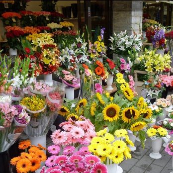 Plant Depot - 5167666663 Florist Cut Flowers Bouquets Roses We Deliver Oceanside NY 11572 - Florists Near Me - Oceanside, New York Plant Depot - 5167666663 Florist Cut Flowers Bouquets Roses We Deliver Oceanside NY 11572 - Florists Near Me - Oceanside, New York