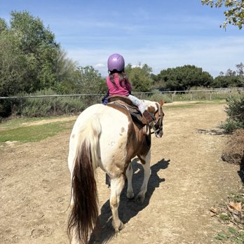 Urban Horseman - Horseback Riding Near Me - Whittier, California Urban Horseman - Horseback Riding Near Me - Whittier, California