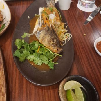 Morimoto - Branzino - Japanese Near Me - Las Vegas, Nevada Morimoto - Branzino - Japanese Near Me - Las Vegas, Nevada