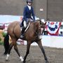 Photo of Hye Pointe Eqestrian Center