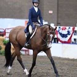Hye Pointe Eqestrian Center