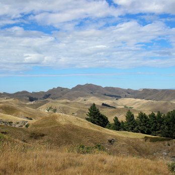 Te Mata Peak - Parks Near Me - Havelock North, HKB