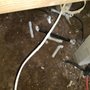 Photo of Hassell Free Plumbing