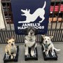 Janell's Happy Dogs