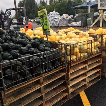Carpinito Brothers - Nurseries & Gardening Near Me - Kent, Washington