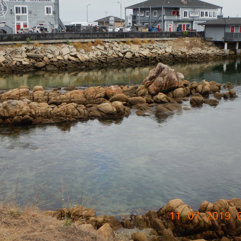 Breakwater Cove Marina - Boat Repair Near Me - Monterey, California