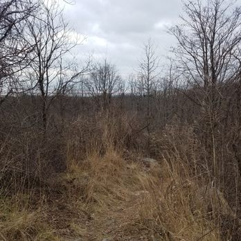 Mount Moses - If it wasnt for the sound of traffic, I could have been upstate new york.  An awesome view. - Hiking Near Me - Staten Island, New York