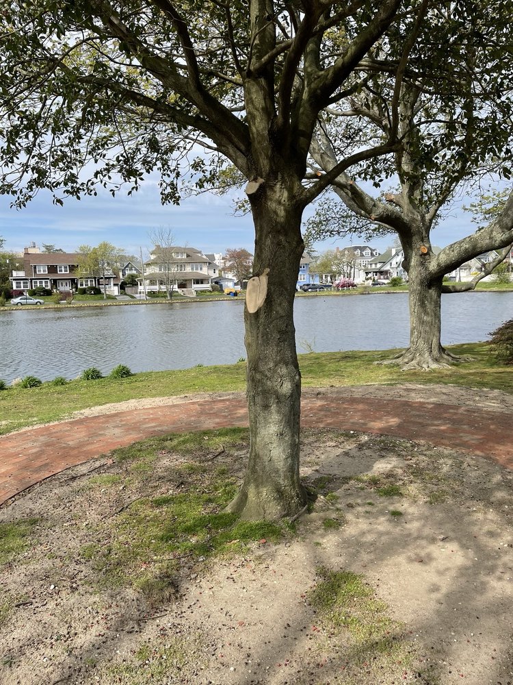 St. John's Island Image