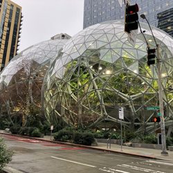The Spheres Discovery At The Understory