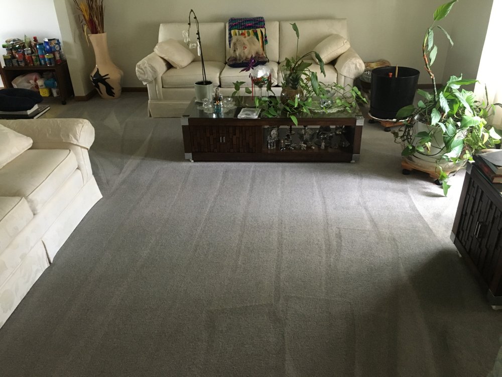 MCCOY CARPET CLEANING Request a Quote Chicago, IL Yelp