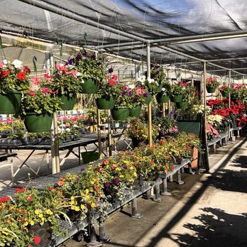 Pinder's Nursery - Nurseries & Gardening Near Me - Palm City, Florida Pinder's Nursery - Nurseries & Gardening Near Me - Palm City, Florida