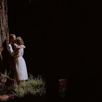 Estrella Films - One of my favorite portrait session shots in the Santa Cruz redwoods. - Videographers Near Me