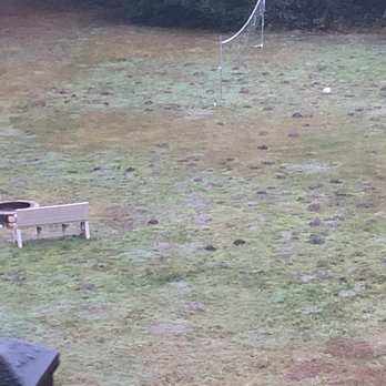 Bloomer Estates Vacation Rentals - Critter mounds near volley ball - Vacation Rentals Near Me - Seaview, Washington