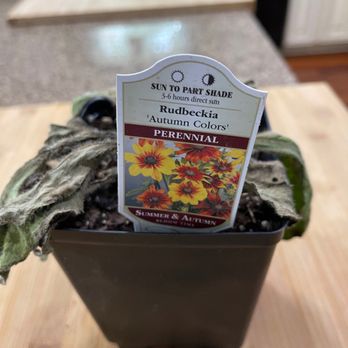 GrowJoy - Nurseries & Gardening Near Me - Berne, Indiana GrowJoy - Nurseries & Gardening Near Me - Berne, Indiana