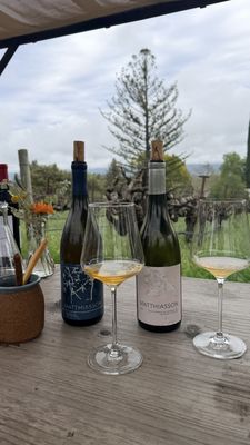 Matthiasson Winery by null Matthiasson Winery by null