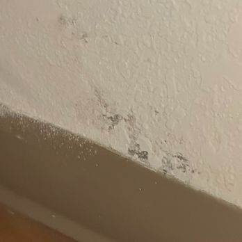 Motel 6 - Chipped paint - Hotels Near Me - Flagstaff, Arizona Motel 6 - Chipped paint - Hotels Near Me - Flagstaff, Arizona