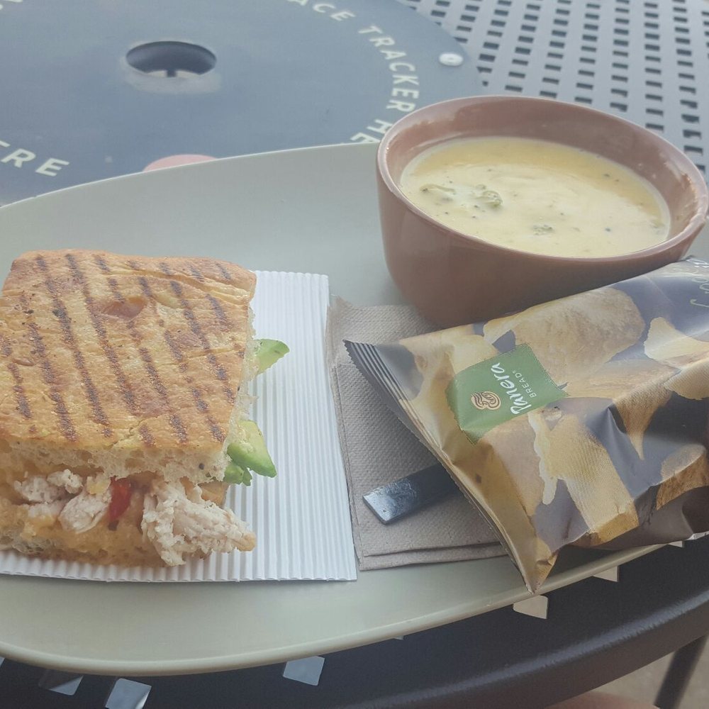 Panera Bread - Sandwiches Near Me - Rolla, Missouri Panera Bread - Sandwiches Near Me - Rolla, Missouri