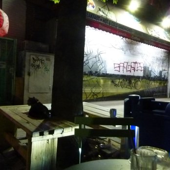 Pokito - looking out from the parklet/outdoor seating area + chilling near the local cat at night - Cocktail Bars Near Me - Brooklyn, New York Pokito - looking out from the parklet/outdoor seating area + chilling near the local cat at night - Cocktail Bars Near Me - Brooklyn, New York