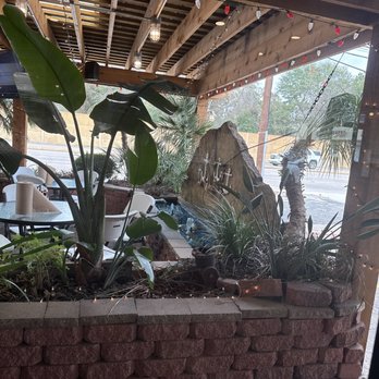Bluewater Seafood - Champions - Outdoor seating - Seafood Near Me - Houston, Texas